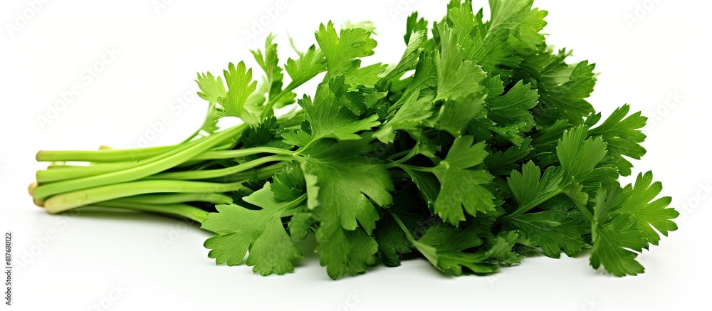 Poster An isolated bunch of parsley on a white background providing ample copy space for design or text elements