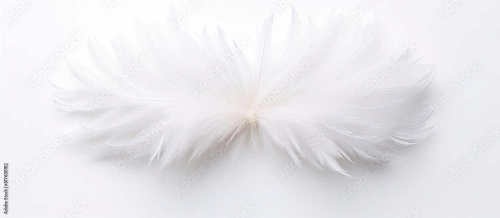 Poster a top down view of a white feather flower on a white background perfect for a flat lay photograph. c