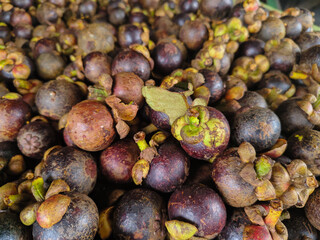 pile of mangosteen fruit. fruit that has purple skin and white flesh