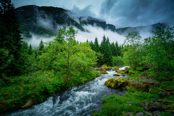 Atmospheric Norwegian Landscape: Glacial River Amid Lush Green Fjord