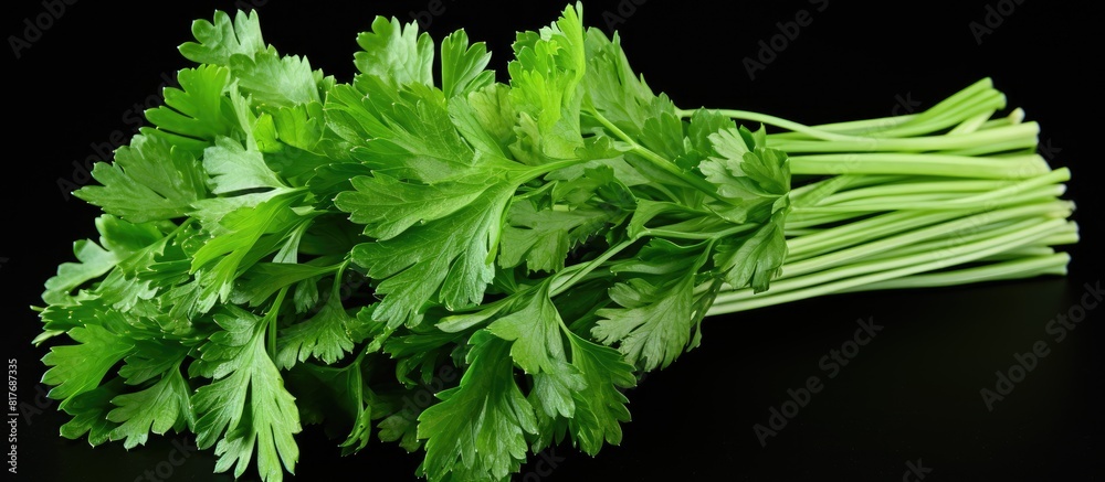 Aufkleber an isolated bunch of parsley on a white background providing ample copy space for design or text ele