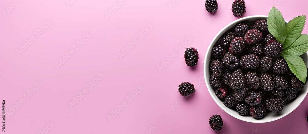 Poster top view image of a ceramic bowl with blackberry and mint leaves on a pink background offering ample