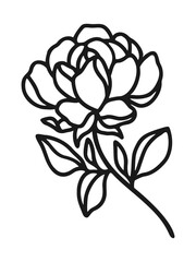 Set of hand drawn minimalistic rose flower, peony, and leaf vector logo elements, icon, and illustration for feminine brand or beauty product