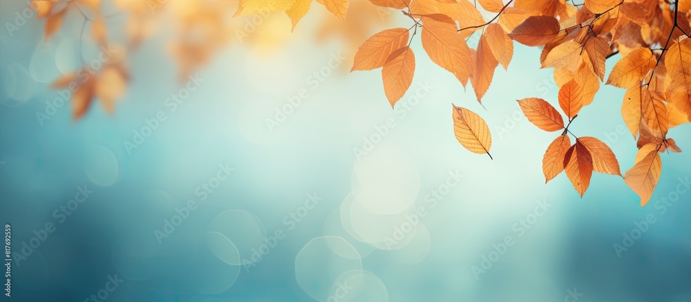 Leinwandbilder autumn leaves create a beautiful background with plenty of copy space for images