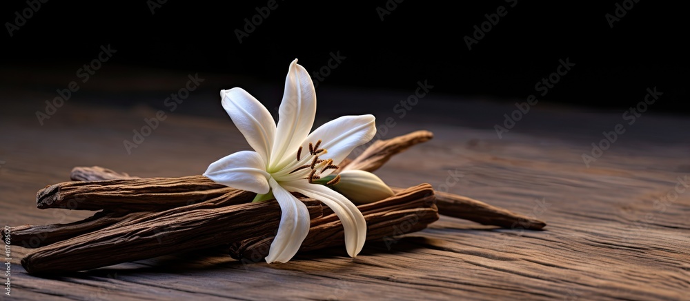 Poster A stunning vanilla blossom and stick placed on a rustic wooden backdrop with ample copy space image
