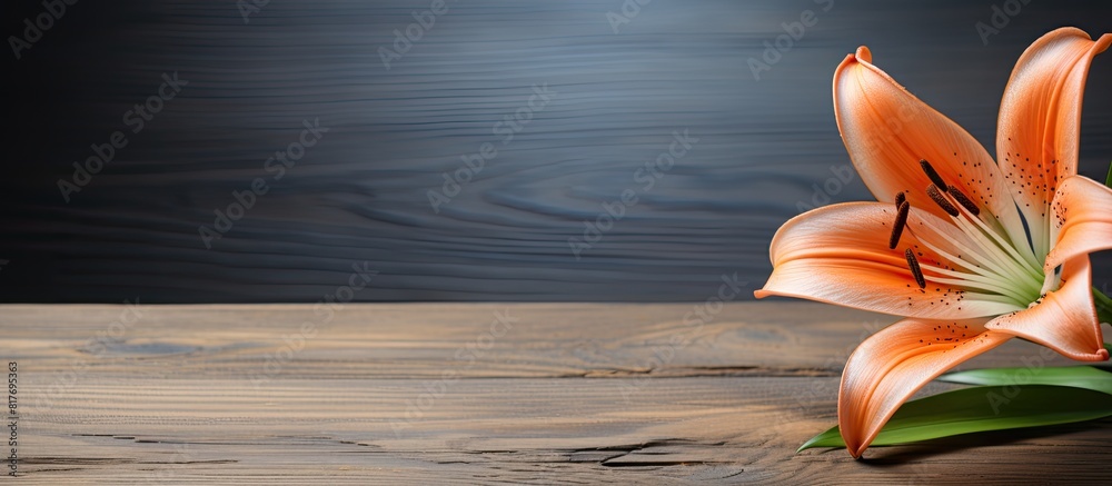 Poster A lily is set against a rustic wooden backdrop providing a captivating copy space image