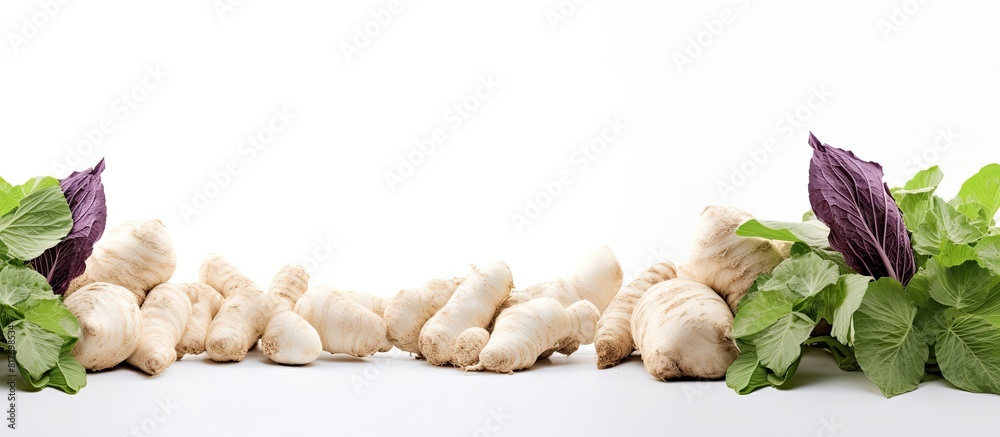 Poster White background with Taro creating copy space image