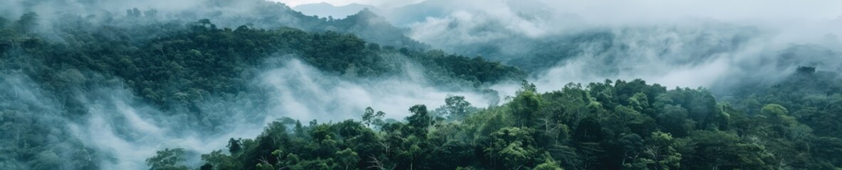 A captivating photograph of a jungle forest shrouded in mist. The mist adds an aura of mystery and serenity to the lush greenery of the jungle. 