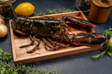 Fresh Lobster in wood plate, Canadian Lobster Crayfish on the square wood plate on black wooden...