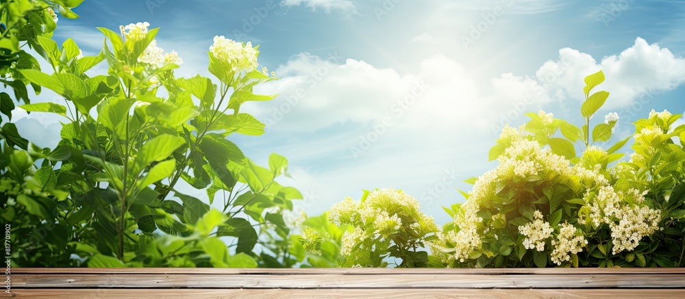 Aufkleber bright sunny day with a natural background of green wood providing ample copy space for text and a p