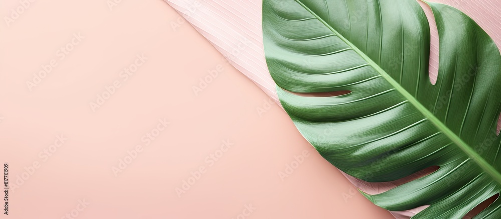 Poster a copy space image of a vibrant green tropical leaf rests on a pastel pink vintage style abstract ba