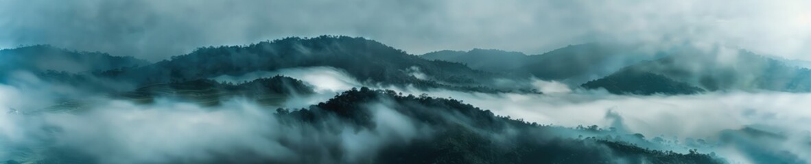 Obraz premium A captivating photograph of a jungle forest shrouded in mist. The mist adds an aura of mystery and serenity to the lush greenery of the jungle. 