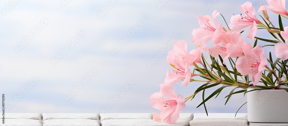 Aufkleber A pink nerium oleander twig with beautiful blooms against a backdrop of white bricks Ample space available for adding text