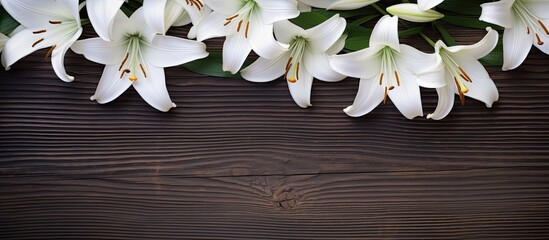 A copy space image featuring white lily flowers arranged to form a frame against a wooden background