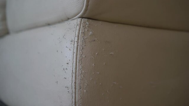 A leather sofa ruined by cat scratches, damaged area. A white and dirty leather sofa. Old leather sofa. Wrinkles in the leather of the sofa