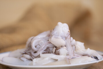 freshily caught verace octopus