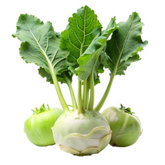 Cabbage with green leaves isolated on transparent background