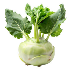 Cabbage with green leaves isolated on transparent background