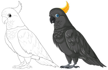 Vector illustration of a colored and line art cockatoo