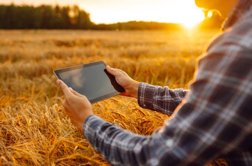 Farmer working with Tablet on wheat field. Modern technology application in agricultural growing...