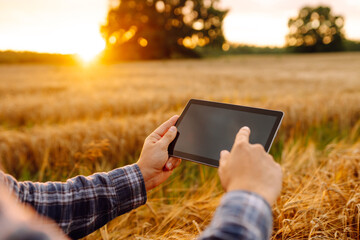 Farmer working with Tablet on wheat field. Modern technology application in agricultural growing...