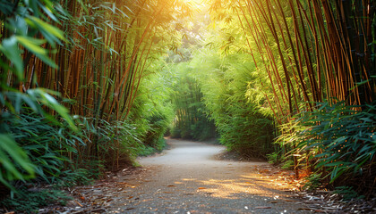 Calming rhythms of tranquil paths winding through dense bamboo groves, gentle sunlight filtering through the leaves