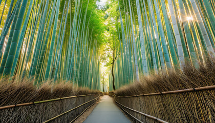 Tranquil paths through tall bamboo groves, with a gentle breeze rustling the leaves, creating a...