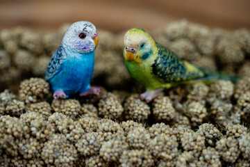 getrocknete Hirse als Vogelfutter oder gemahlen als Mehl