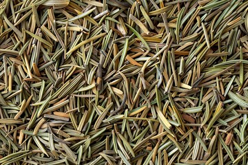 Whole dried rosemary background for seasoning food
