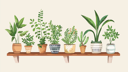 Shelf with houseplants decoration Vector  style vector