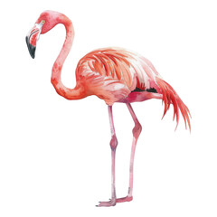 Flamingo, Bird Illustration. Watercolor Style. AI Generated