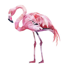 Obraz premium Flamingo, Bird Illustration. Watercolor Style. AI Generated