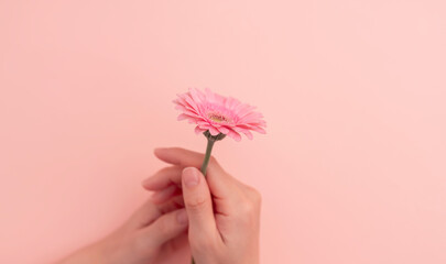 woman with a flower. The flower is pink gerbera. Women, mothers, women's hearts, women's illnesses,...