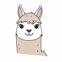Cute vector illustration of a Llama for kids books