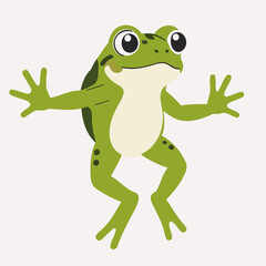 Cute vector illustration of a Frog for kids books