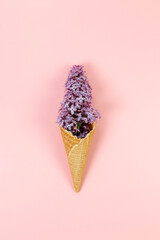 Top view of purple lilac flowers on pink background. Creative ice cream waffle cone. Spring and...