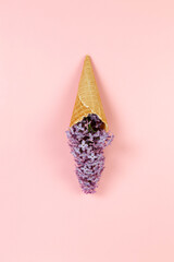 Top view of purple lilac flowers on pink background. Creative ice cream waffle cone. Spring and...