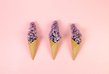 Top view of purple lilac flowers on pink background. Creative three ice cream waffle cones. Spring...