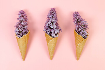 Top view of purple lilac flowers on pink background. Creative three ice cream waffle cones. Spring...