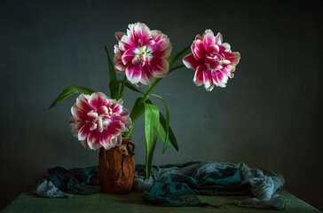 Peony-shaped tulips on a dark background.