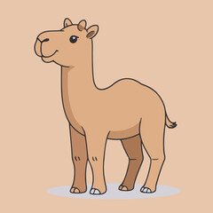 Cute Camel for children vector illustration