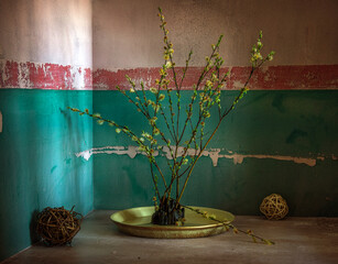 Still life with spring willow branches. Minimalism.