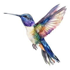 Fototapeta premium Hummingbird, Bird Illustration. Watercolor Style. AI Generated