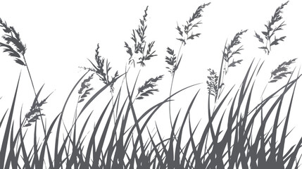 Silhouette grass ornament icon design vector illustration