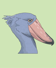 Shoebill Whalebill Whale-Headed Storks Shoe-Billed Stork