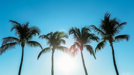Palm trees silhouetted against the bright blue skies over Miami Beach, close up on natural elegance, concept of coastal beauty, realistic, Manipulation, seaside backdrop