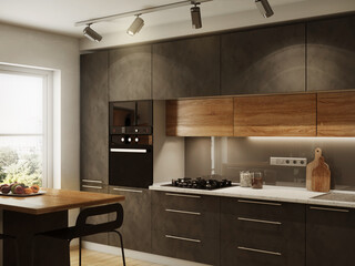 New modern kitchen interior