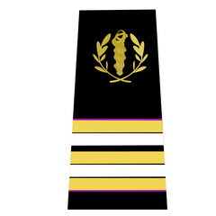 Galons de l'armée de terre française du personnel de santé des armées: Médecin militaire: Médecin en chef