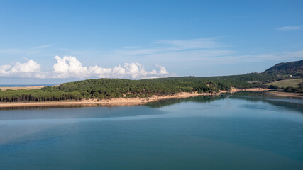 landscape with beach and forest