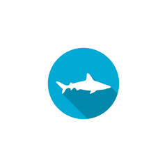 Shark icon isolated on transparent background